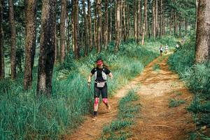 BIB: 
                            <button type="button" onclick="openModal(25736144)" class="btn btn-primary btn-sm float-right btn-popup" data-toggle="modal" data-target=".modal-high-quality">
                        <i class="fas fa-shopping-cart"></i> Add to Cart
                    </button>
                                            <button type="button" onclick="isThisMe(25736144, true)" class="btn btn-success btn-sm float-right btn-popup btn-isme hidden" data-toggle="tooltip" data-placement="bottom" title="นี่คือรูปของคุณใช่ไหม คลิกที่นี่เพื่อเอาเข้าอัลบั้ม">
                        <i class="fas fa-plus"></i> Add to album
                    </button>
                    <button type="button" onclick="isThisMe(25736144, false)" class="btn btn-warning btn-sm float-right btn-popup btn-isnotme hidden">
                        <i class="fas fa-ban"></i> Remove from album
                    </button>